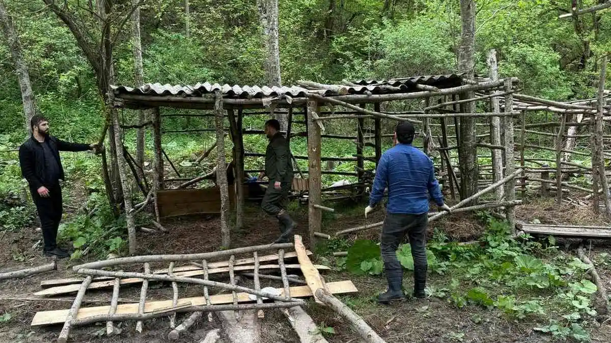 Новости Ингушетии: В лесах Сунженского района Ингушетии уничтожены 22 самовольные постройки