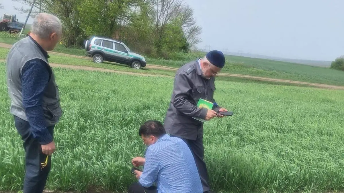 Новости Ингушетии: Специалисты оценили состояние полей Малгобекского района Ингушетии