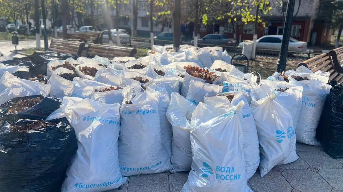 Новости Ингушетии: В Назрани Ингушетии собрали 70 мешков мусора