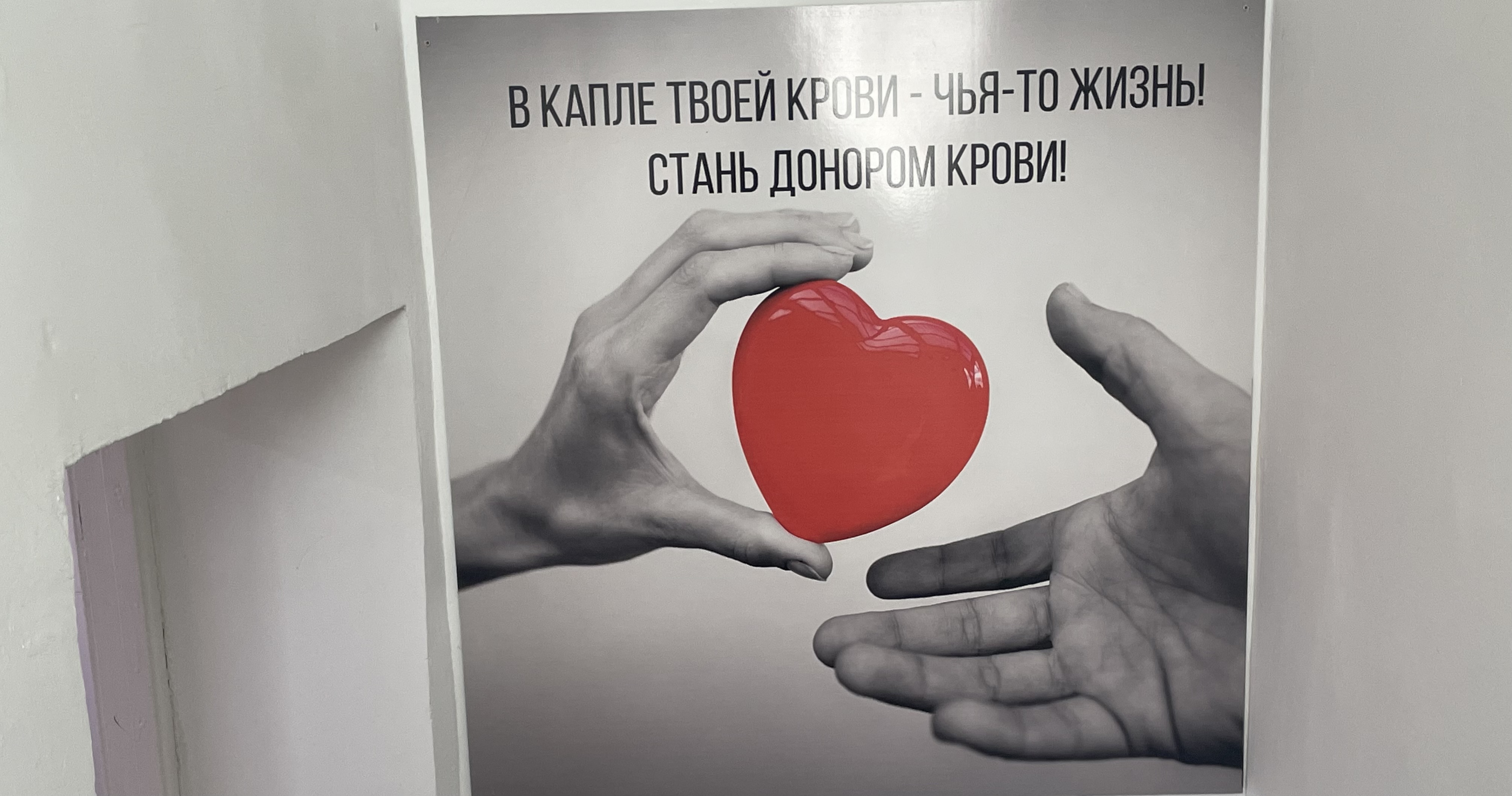 Новости Ингушетии: В Ингушетии отмечают Национальный день донора крови в России