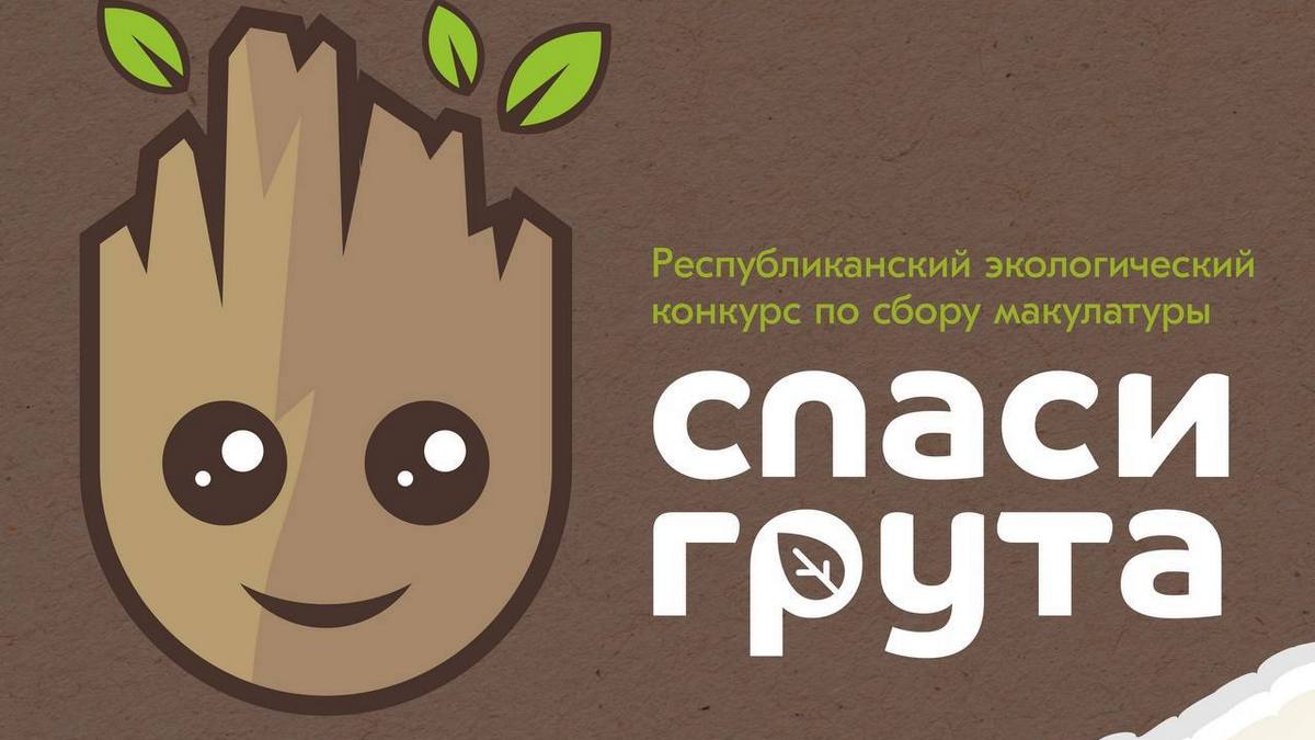 Новости Ингушетии: В Ингушетии стартовал проект по сбору макулатуры «Спаси Грута»