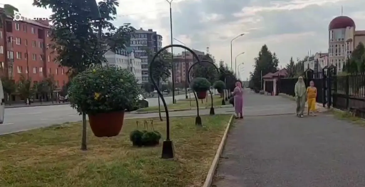 Новости Ингушетии: Хризантемы в кашпо украсили улицу Кулиева в Магасе Ингушетии