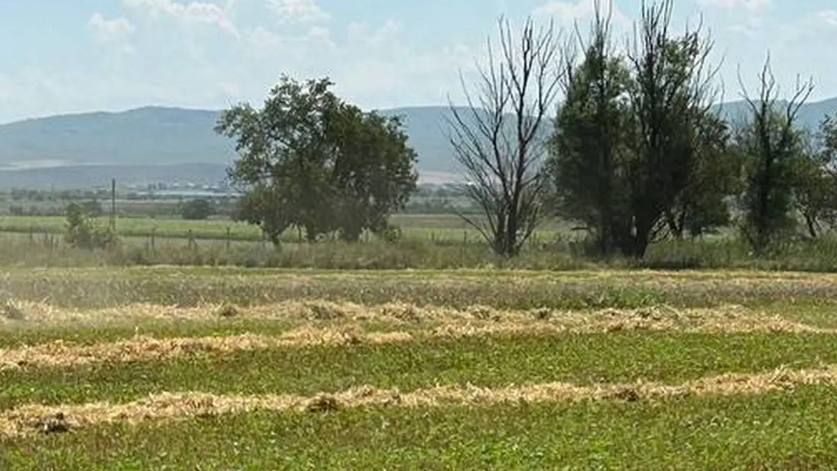 Новости Ингушетии: Ингушский РСХЦ стремится повысить урожайность озимых культур