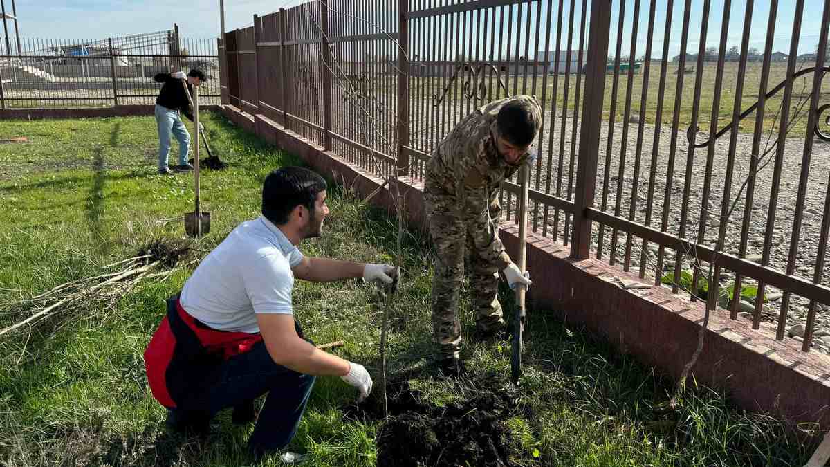 В Ингушетии в 2024 году планируется посадить 2000 саженцев