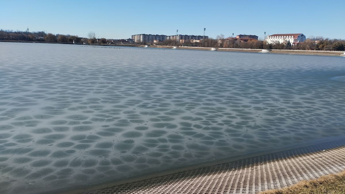 «Леопардовая шкура» украсила главный водоем Назрани в Ингушетии