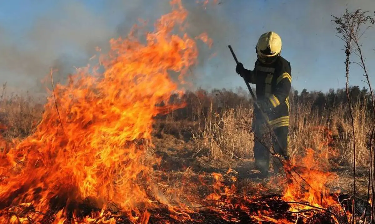 Новости Ингушетии: В Малгобекском районе Ингушетии введен особый противопожарный режим