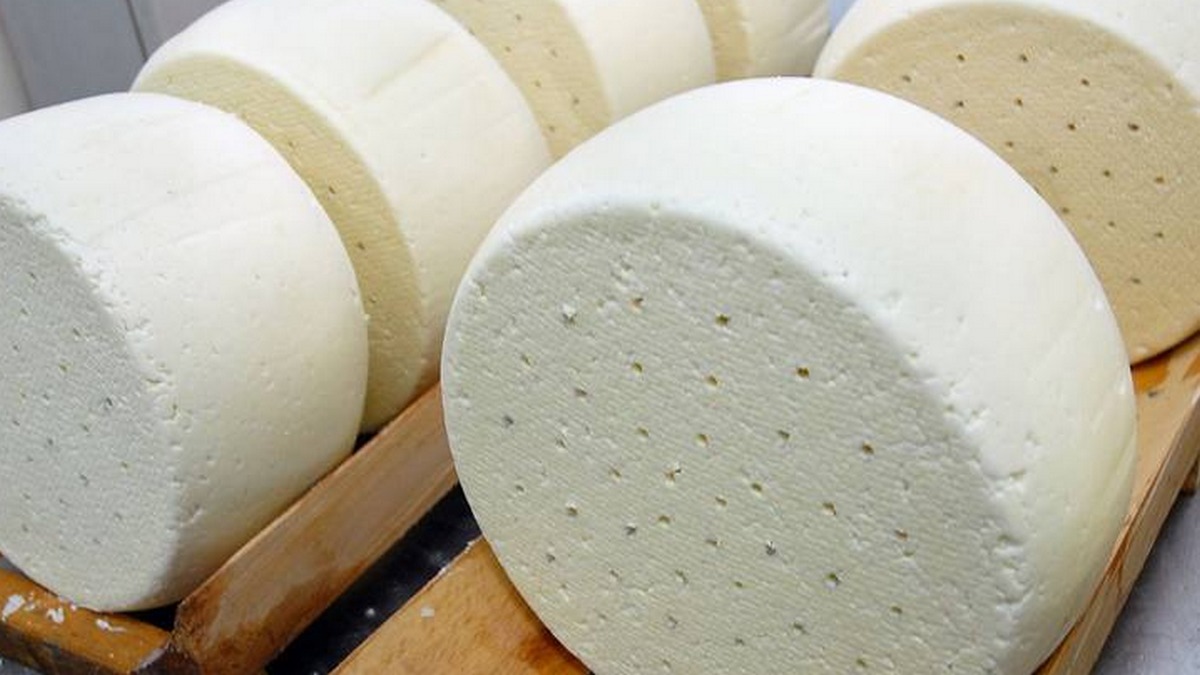 Новости Ингушетии: На новом заводе в Ингушетии начнут производство качественного сыра