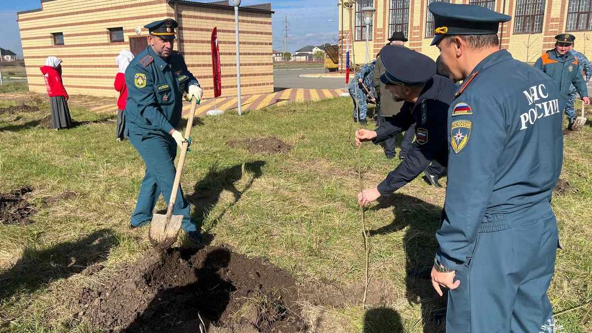 Новости Ингушетии: Сотрудники МЧС Ингушетии поддержали акцию «Сохраним лес»