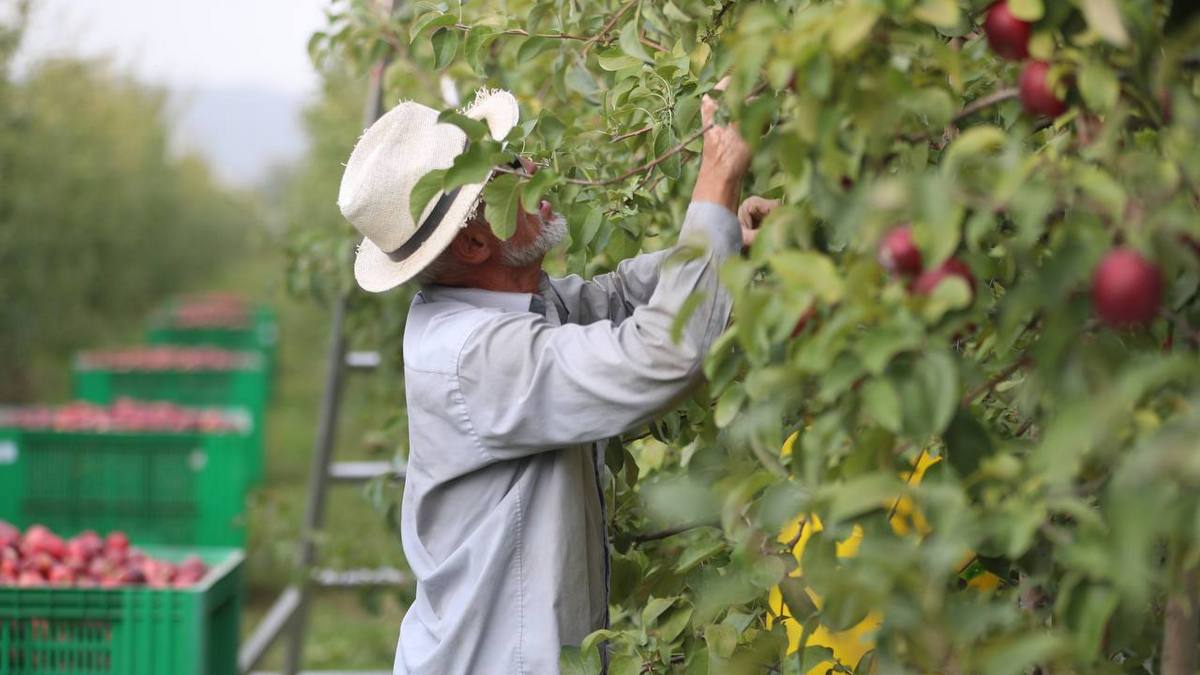 Темп роста объема сельхозпродукции в Ингушетии может составить 106,4%