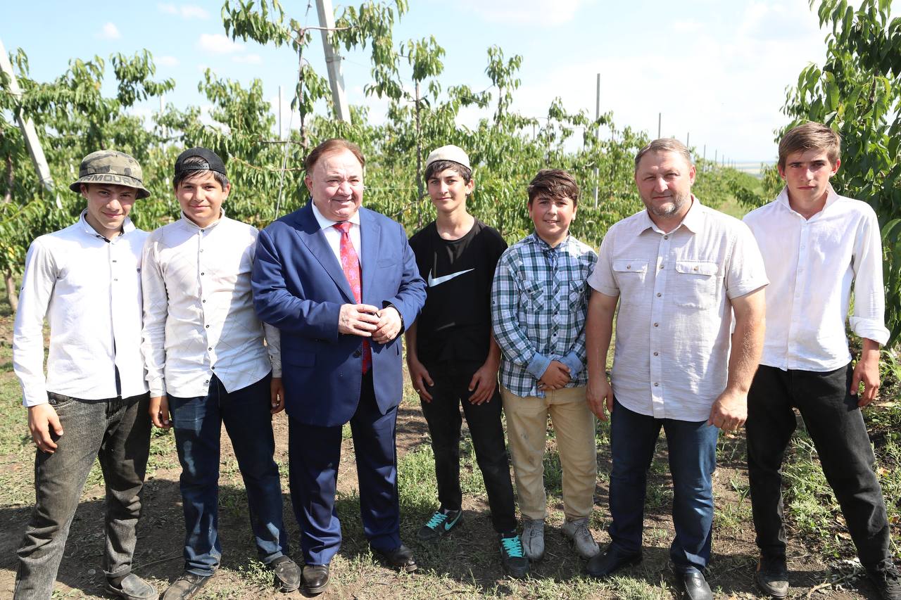 Новости Ингушетии: В агропредприятии Ингушетии планируют увеличить сбор черешни до 300 тонн