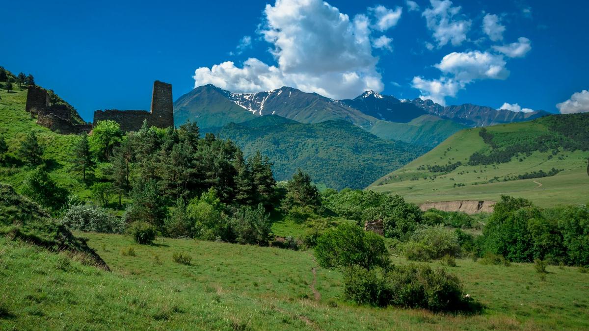 Новости Ингушетии: В Ингушетии  будут производить лекарственные сборы и травяные чаи