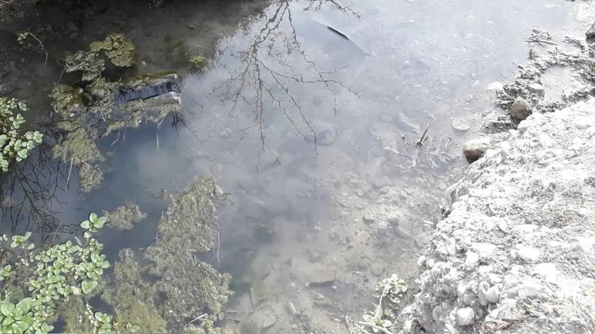 Новости Ингушетии: В Ингушетии обнаружили свалку отходов на притоке реки Кенч