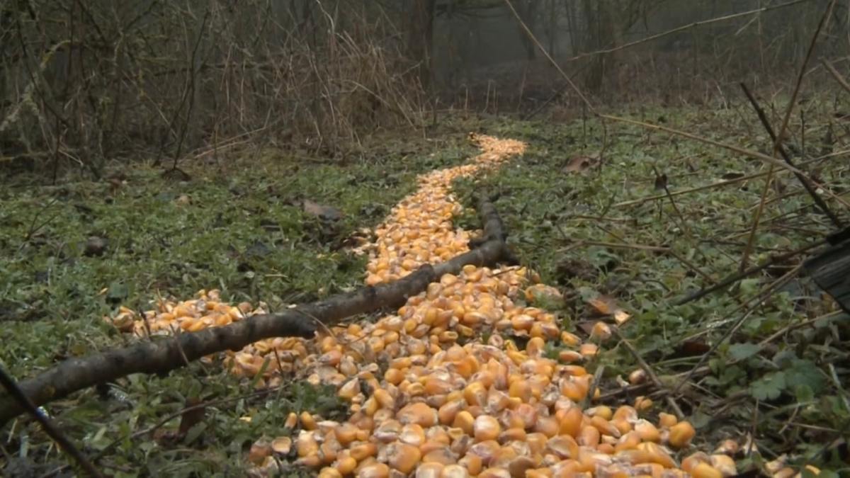 В Малгобекском районе готовят зимние запасы для диких животных