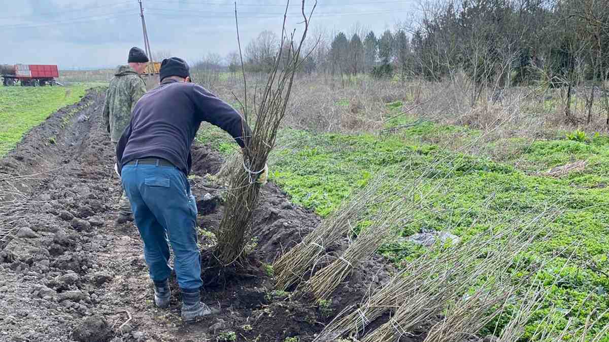 В Ингушетии подвели итоги за 1 полугодие 2024 года в области охраны лесов