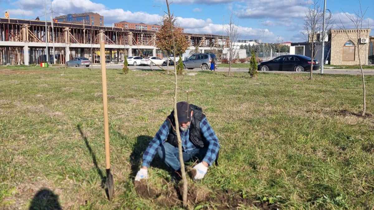 «Лораергья хьу» яха болам дӀахьу вай мехка