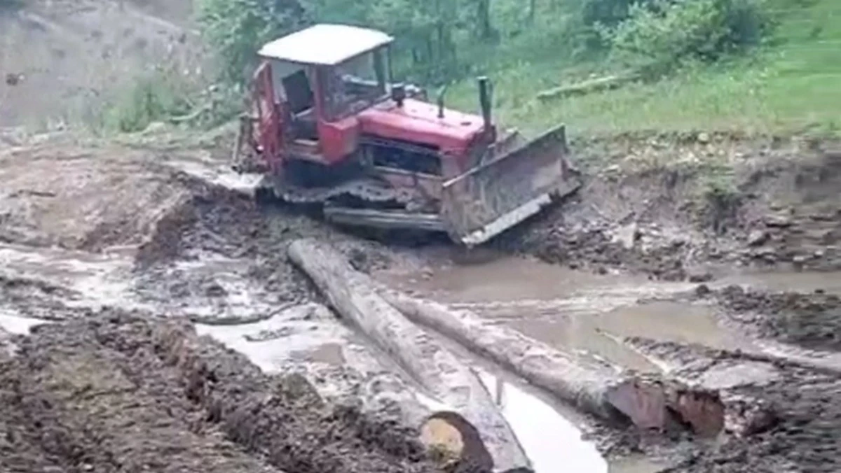Новости Ингушетии: «Черные лесорубы» использовали в Ингушетии трактора для вывоза бука