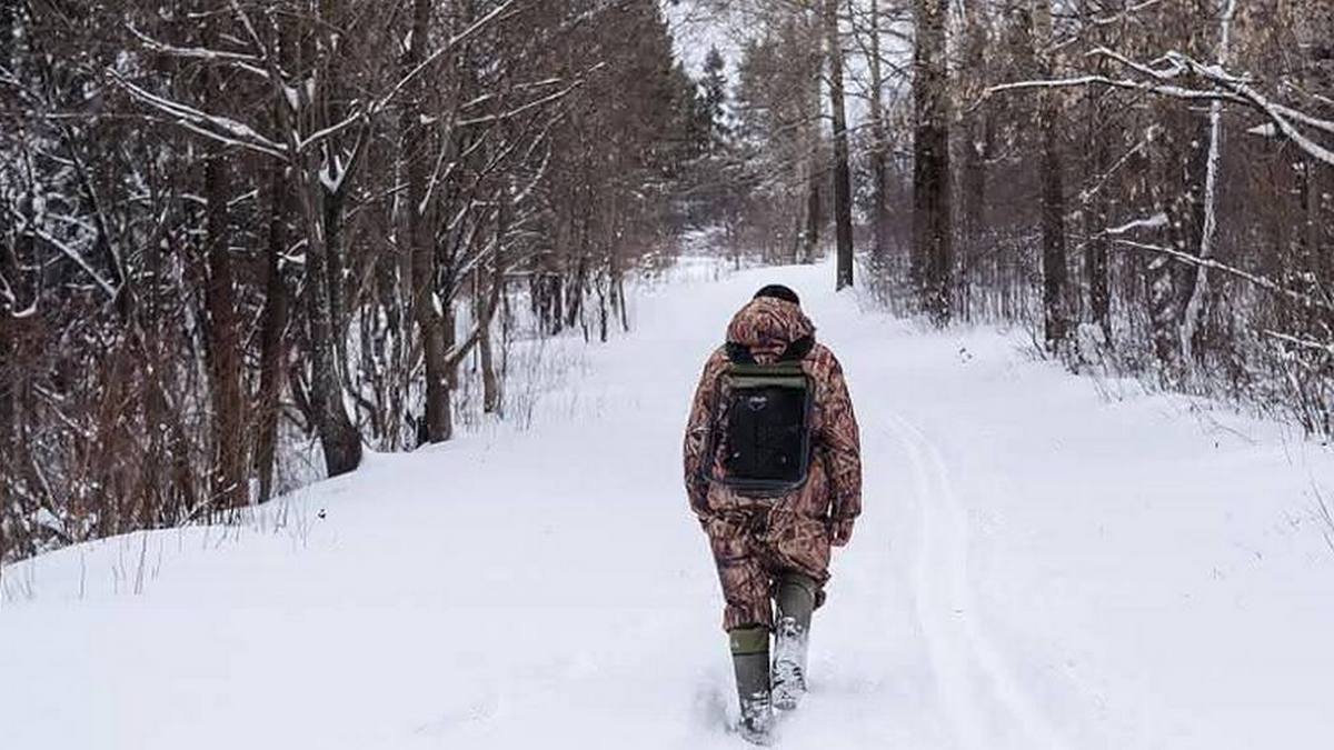 В течение декабря в Ингушетии ведется контроль над хвоями