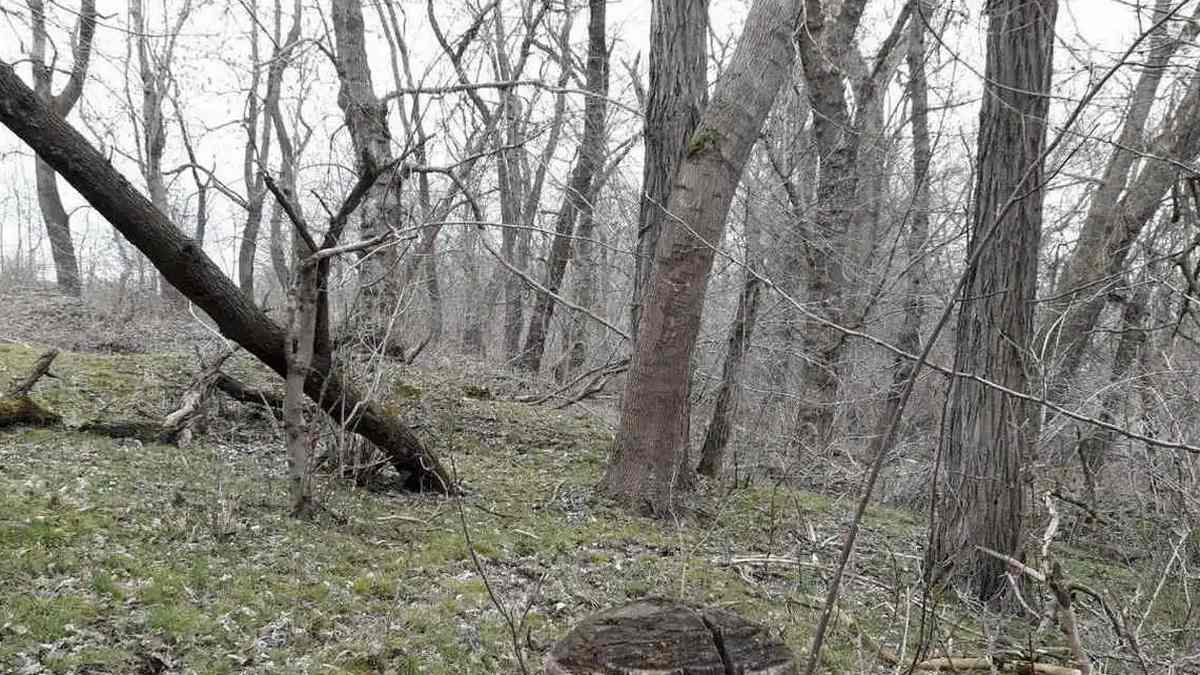 Новости Ингушетии: Правительство Ингушетии ввело режим ЧС в связи с засухой