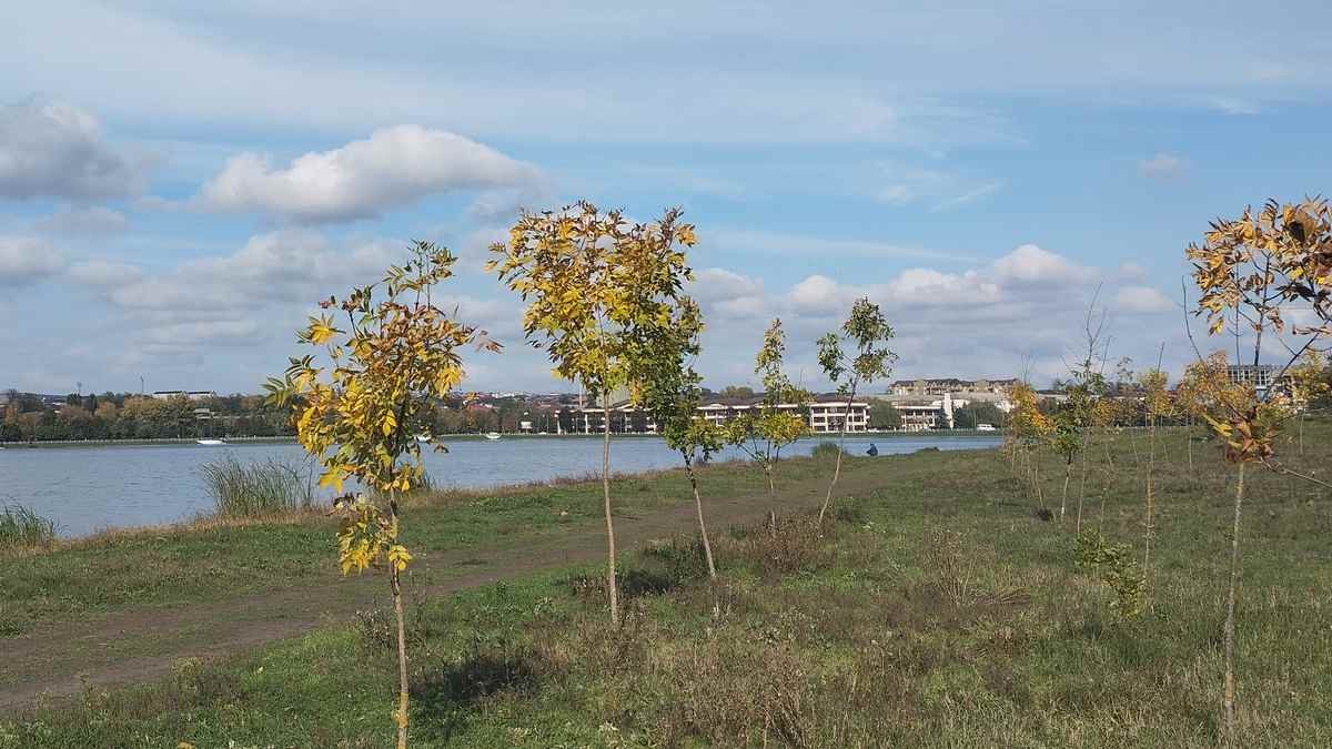 Новости Ингушетии: В осенние месяцы в Ингушетии активизируется посадка деревьев