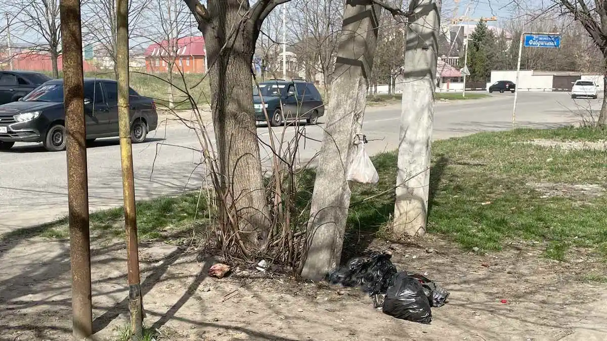 Новости Ингушетии: Жители Назрани просят ликвидировать несанкционированные свалки