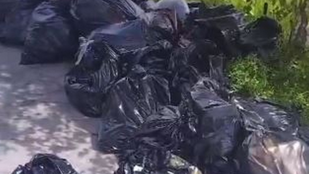 Новости Ингушетии: В Назрани Ингушетии борьба со стихийными свалками мусора усиливается