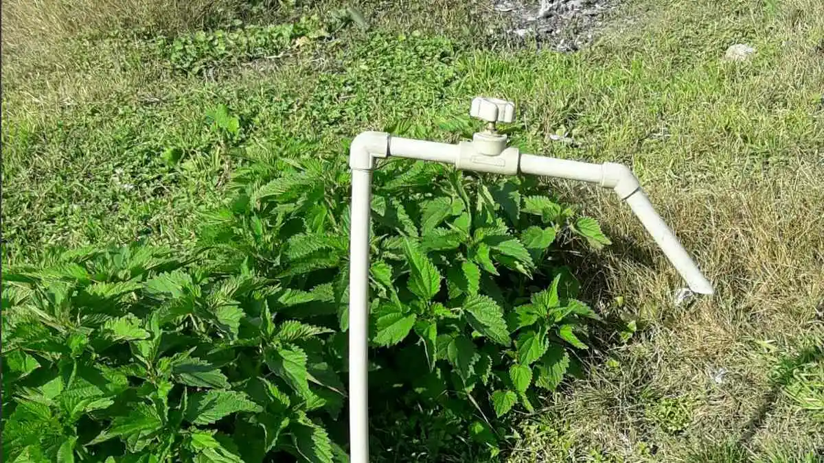 Новости Ингушетии: Жителей Ингушетии призвали рационально расходовать водный ресурс