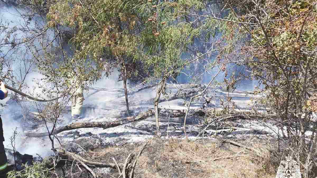 Огнеборцы Ингушетии ликвидировали возгорание в сельском поселении Плиево