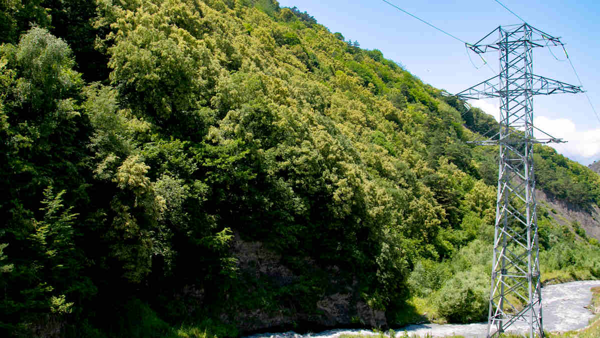 Новости Ингушетии: «Россети Северный Кавказ» напоминают  правила «электробезопасной рыбалки»