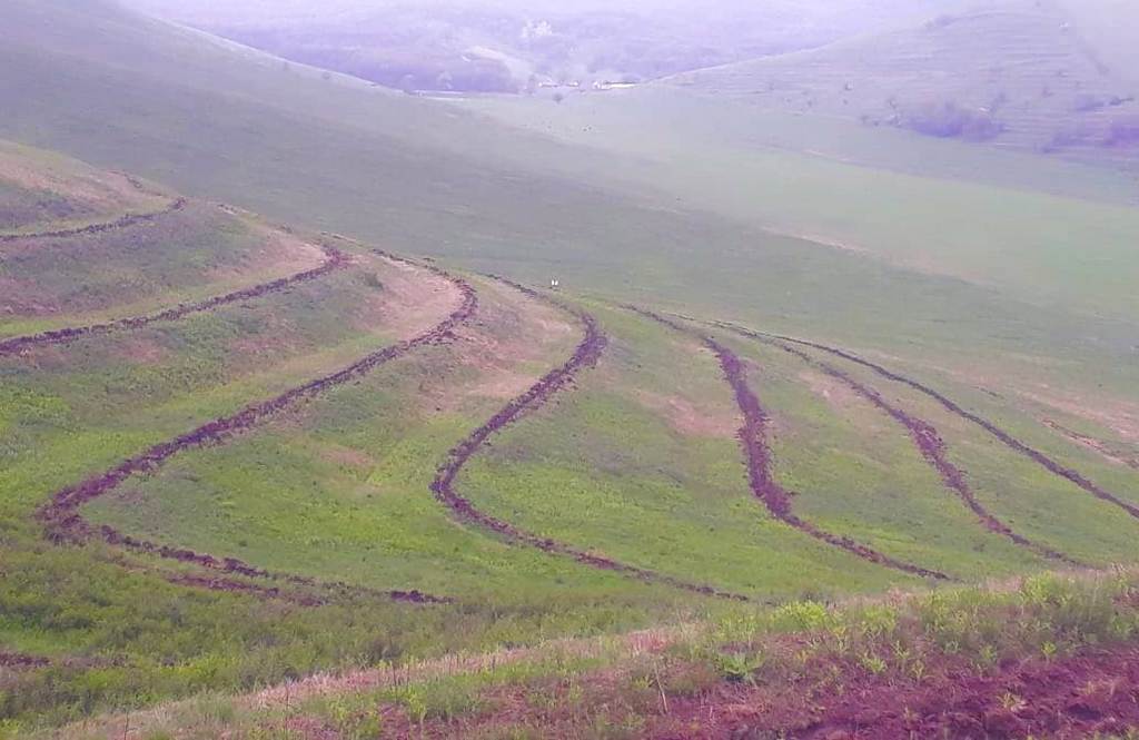 Новости Ингушетии: В Назрановском лесничестве Ингушетии посажено более 25 тысяч деревьев