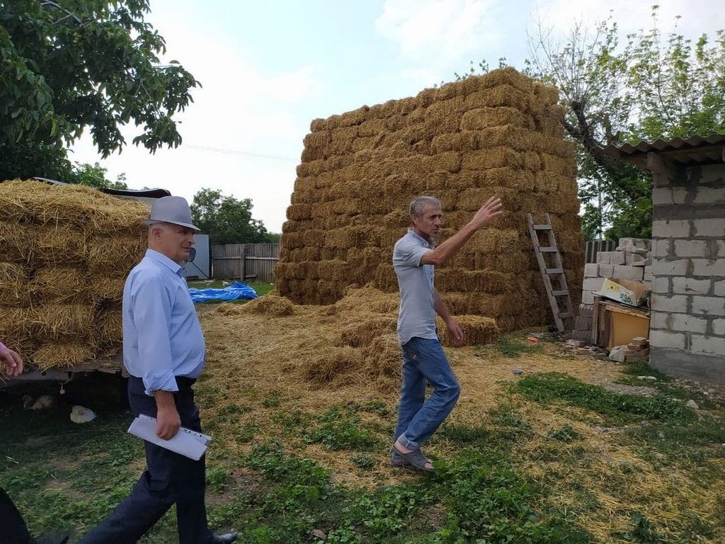 Новости Ингушетии: В Ингушетии продолжается конкурс на лучшее подсобное хозяйство