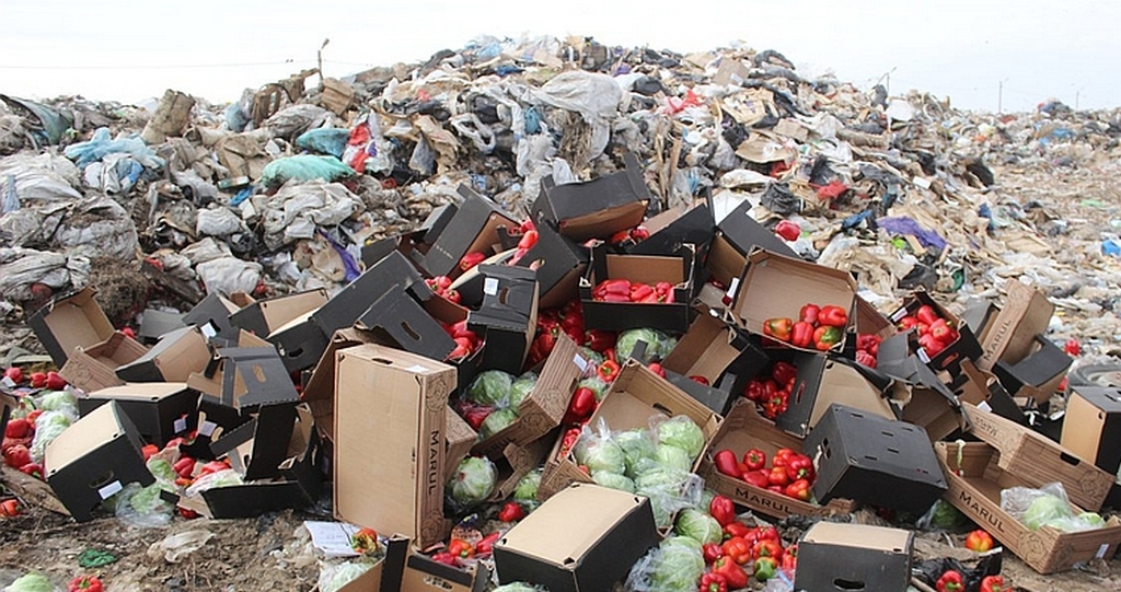 Новости Ингушетии: В регионах страны необходима технология переработки пищевых отходов