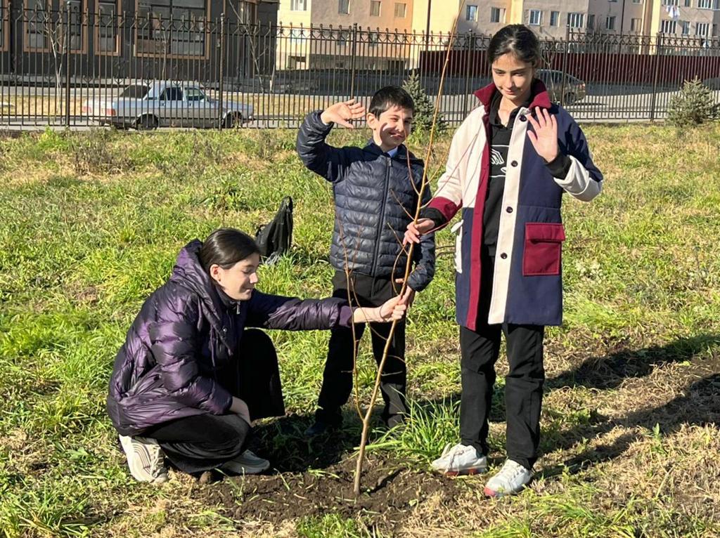 Новости Ингушетии: На территории школ Ингушетии высаживают новые саженцы