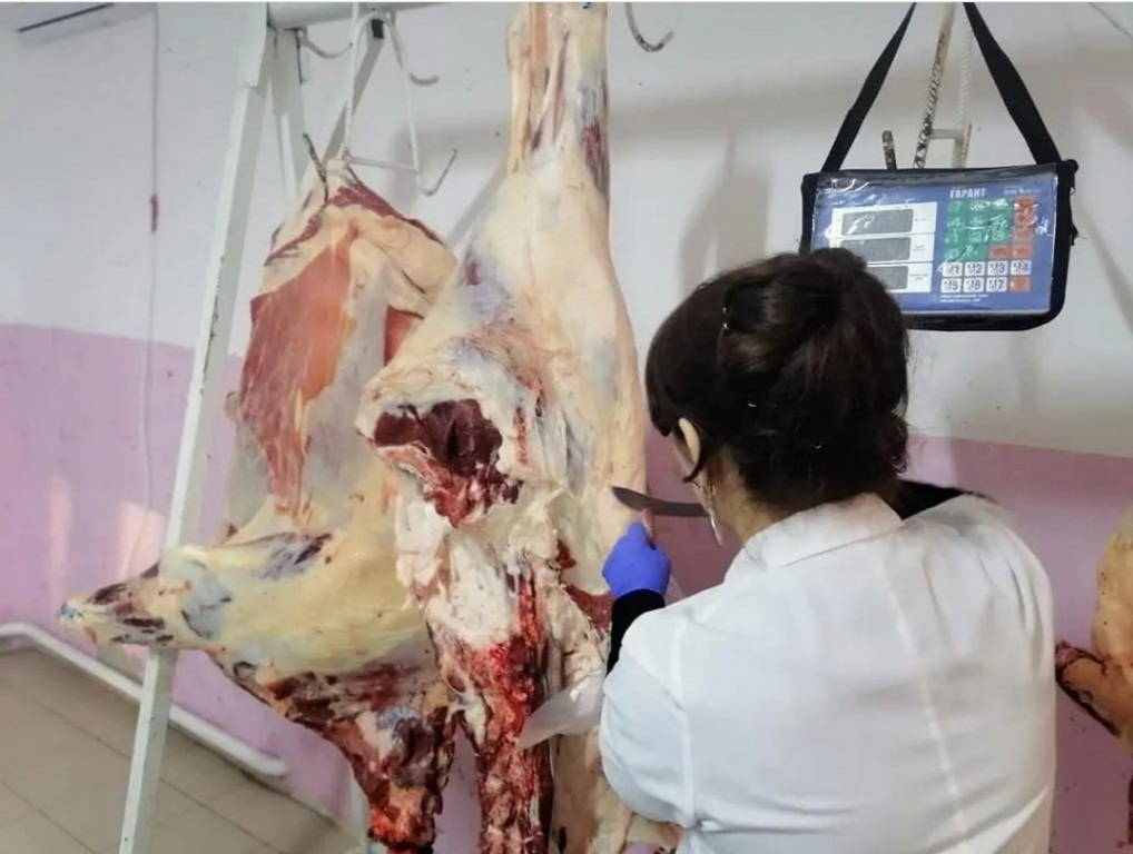 Новости Ингушетии: Ветеринары Ингушетии проверили мясные павильоны