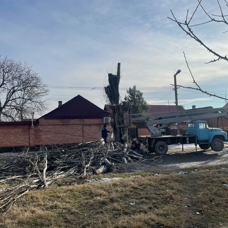 Новости Ингушетии: В населенных пунктах Ингушетии осуществляют спил аварийных деревьев