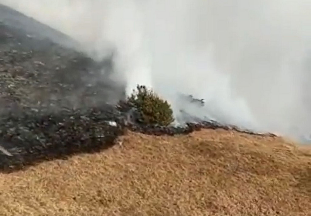 Новости Ингушетии: В горной Ингушетии потушили пожар площадью более 200 гектаров