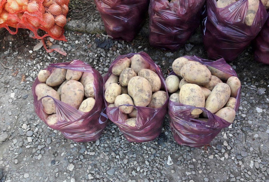 Новости Ингушетии: В Ингушетии в минувшем году отмечен рост на 40% валового сбора картофеля