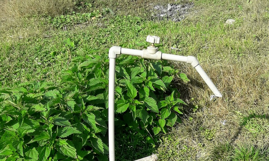 Новости Ингушетии: Свыше 65% горожан Ингушетии готовы заниматься огородами при наличии источников орошения
