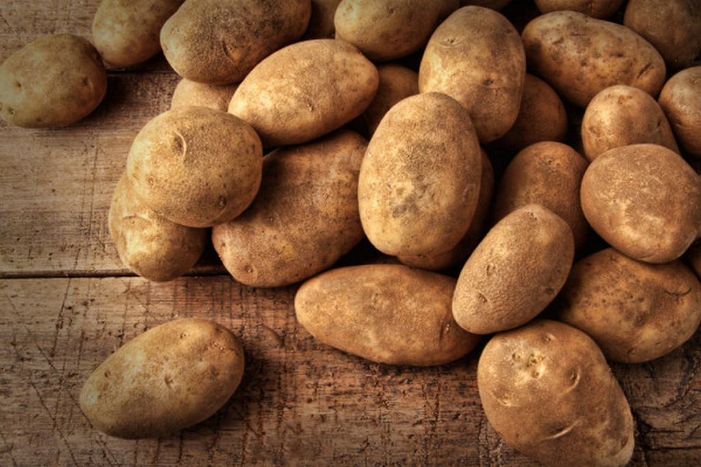 Новости Ингушетии: В Ингушетии наблюдается рост объемов выращиваемого картофеля