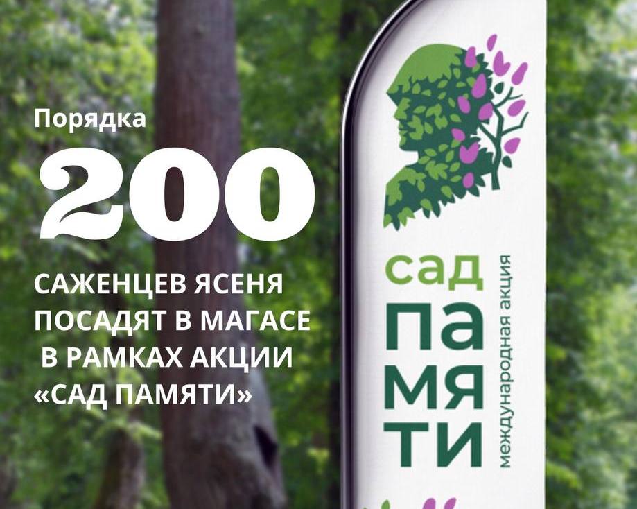 Новости Ингушетии: 200 саженцев посадят в Магасе в рамках Международной акции «Сад Памяти»