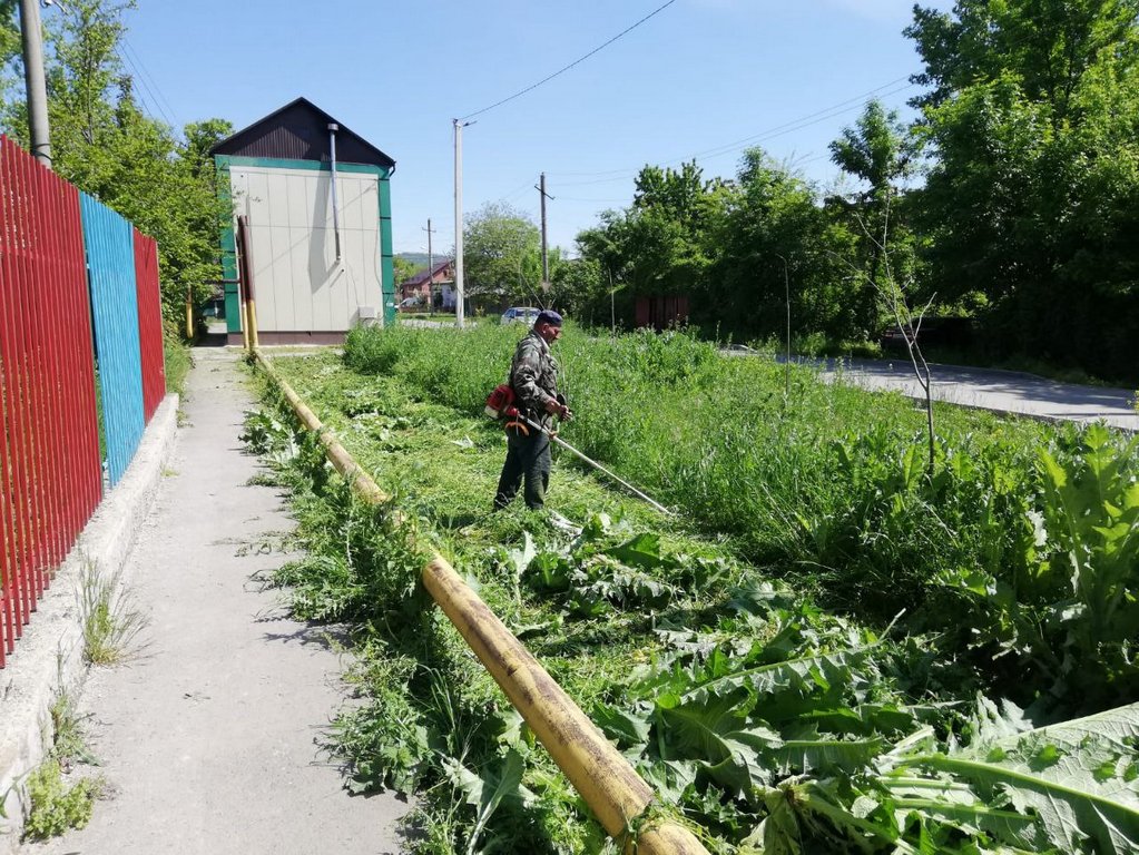 Новости Ингушетии: Коммунальщики Малгобека осуществляют покос травы на территории города
