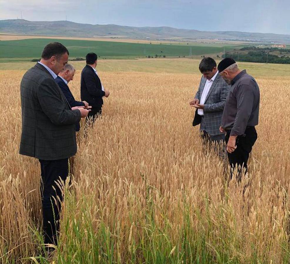 Новости Ингушетии: Министр сельского хозяйства Ингушетии продолжает проверять работу ГУПов