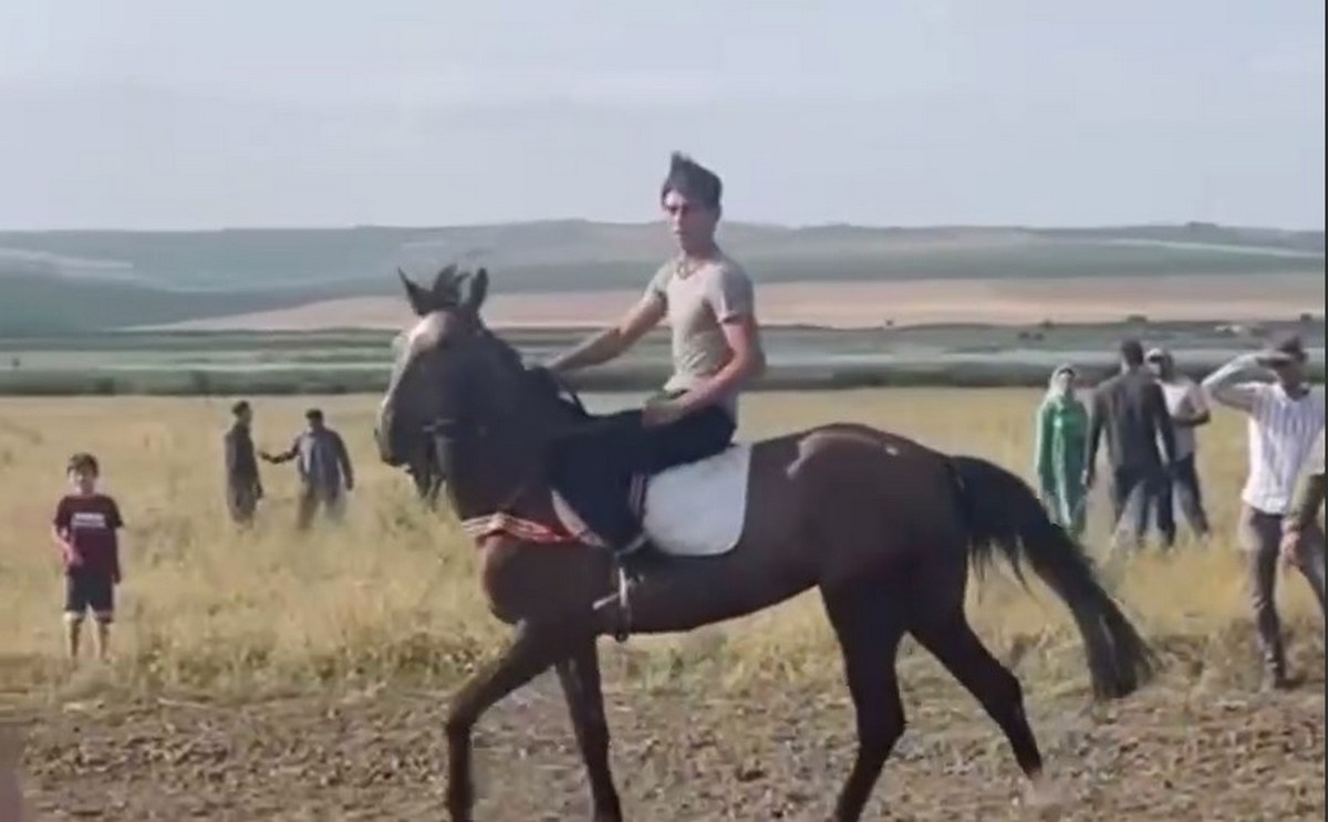 Новости Ингушетии: В Малгобеке провели конные скачки и развернули Государственный флаг Ингушетии