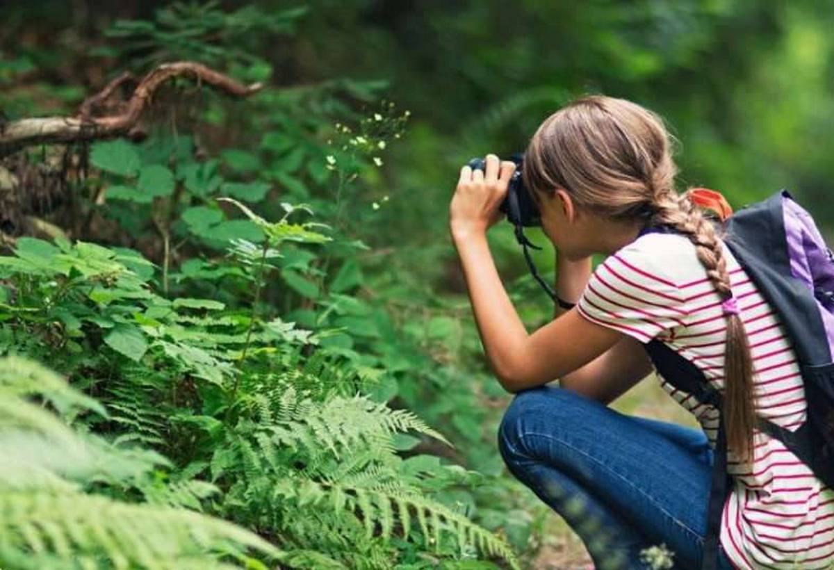 Новости Ингушетии: Юные натуралисты Ингушетии станут участниками Всероссийского конкурса «Лучшее школьное лесничество-2022»