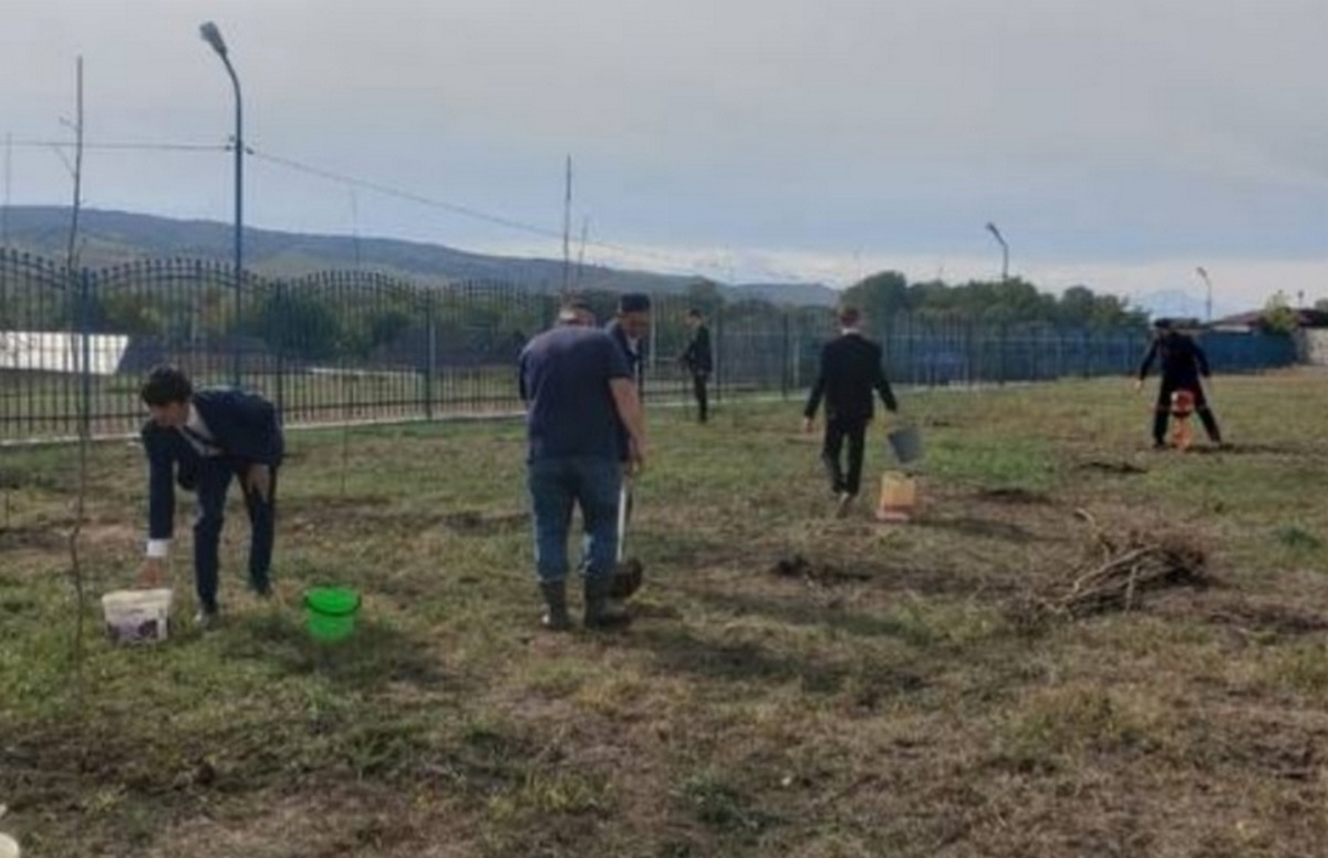Новости Ингушетии: Школьники Ингушетии высадили около 100 деревьев в рамках акции «Сохраним лес»
