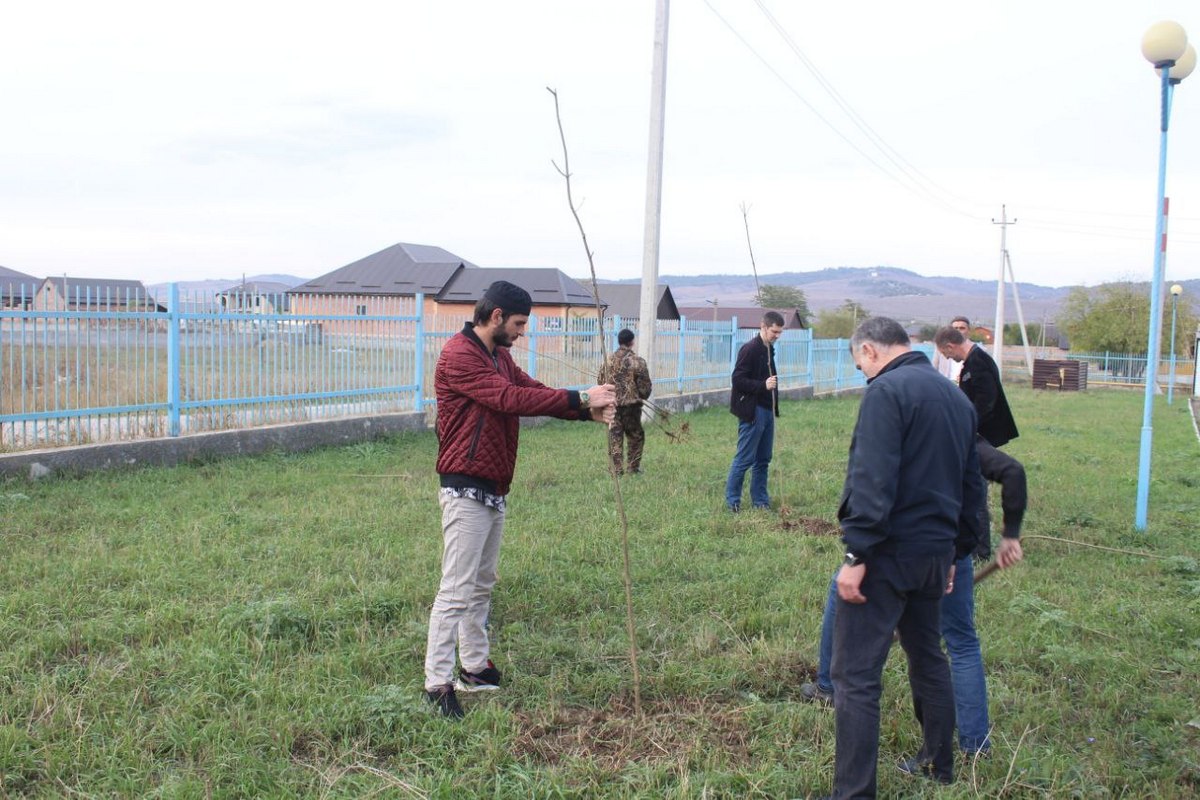 Новости Ингушетии: В Малгобеке продолжаются работы по озеленению