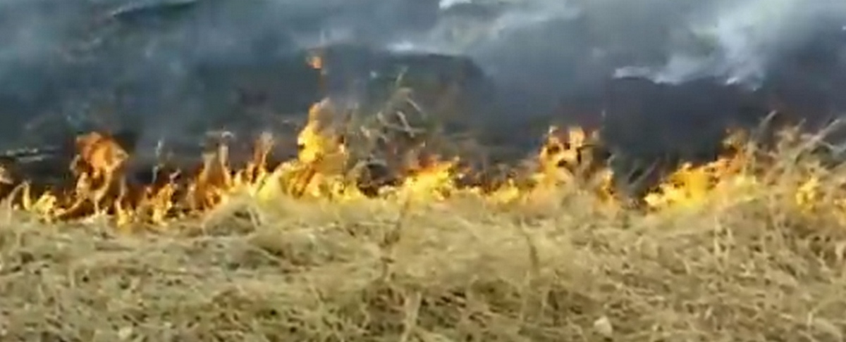 Новости Ингушетии: О запрете на сжигание травы предупредили жителей Ингушетии