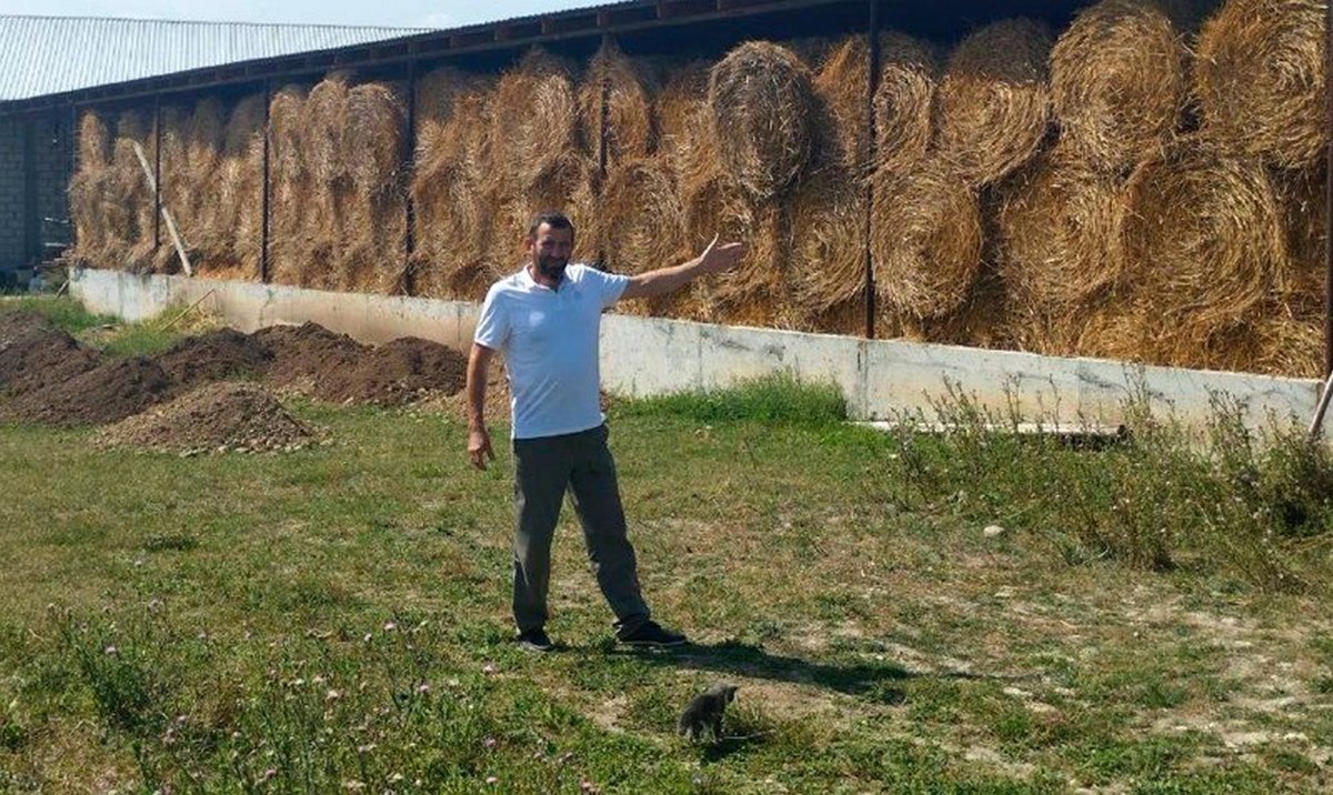 Новости Ингушетии: Господдержку в сумме свыше 50 млн руб. получат начинающие фермеры Ингушетии