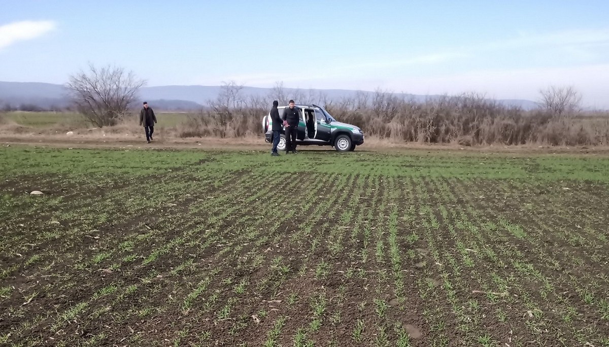 Новости Ингушетии: РСЦ Ингушетии осуществил мониторинг семенных посевов