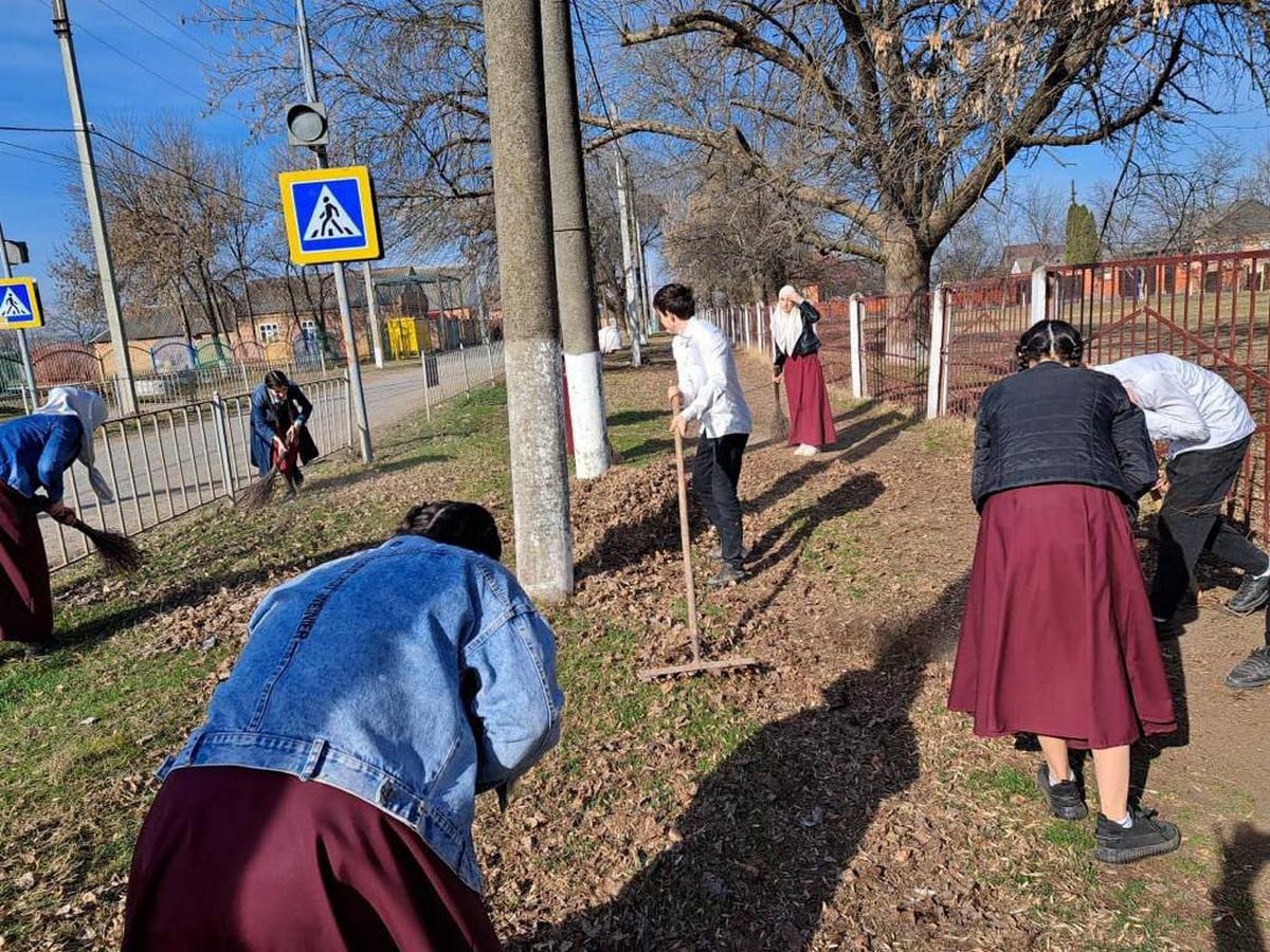 Новости Ингушетии: Молодогвардейцы Ингушетии пропагандируют чистоту