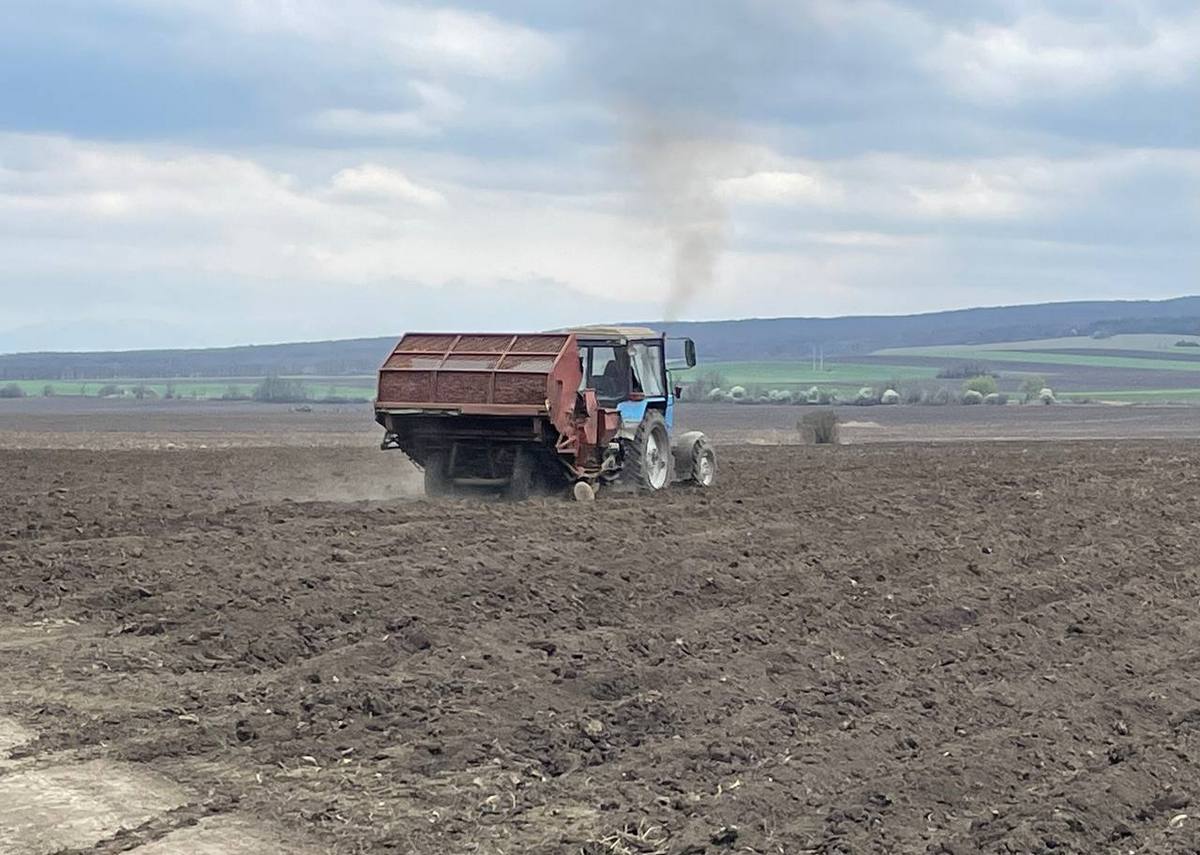 Новости Ингушетии: В ведущем хозяйстве Ингушетии — КФХ «Хашагульгов» — активно идет посадка картофеля